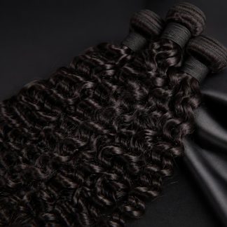 Burmese Curl